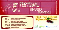 festival nevladnih org
