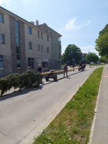 Furmani Konjeniškega društva Sveti Štefan prihajajo v mesto z mlajem. 