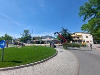 Mlaj je priskrbela Krajevna skupnost Ajdovščina, v mesto pa so ga po starem pripeljali in okrasili člani Konjeniškega društva Sveti Štefan. 