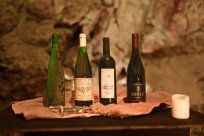 6.6. Kruh in vino Vina Mihelj (3).jpg