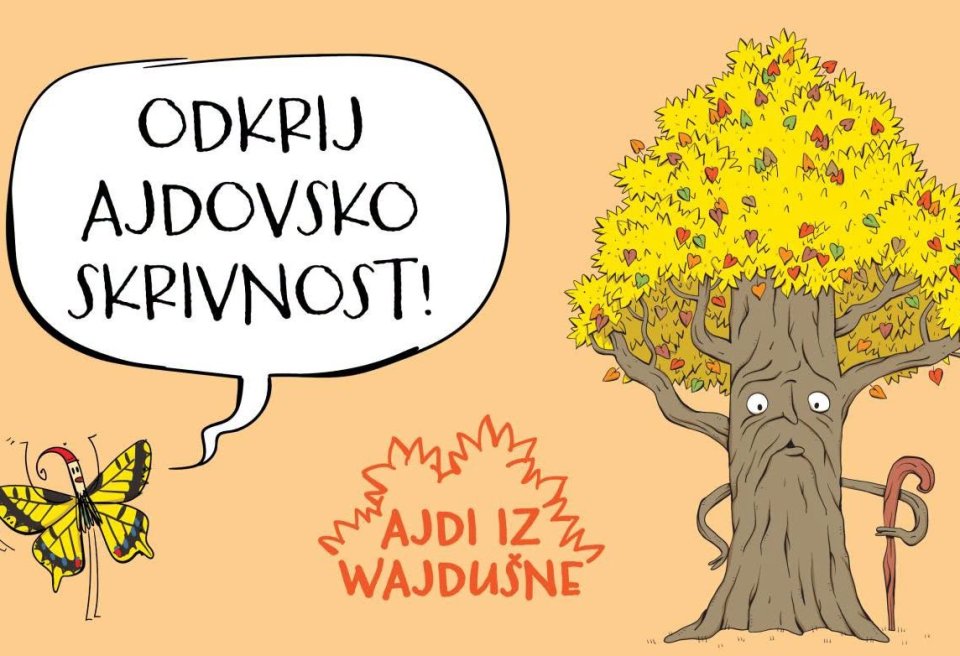 ajdi 