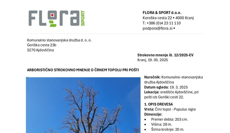 arboristična 1