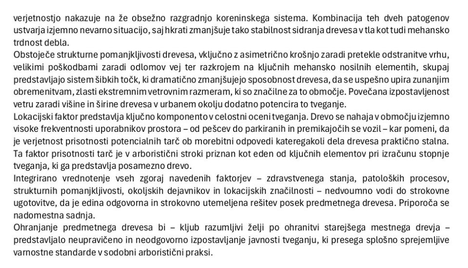 arboristična 3