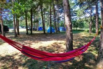 Prijetno okolje kampa v Ajdovščini vabi goste na oddih. Foto: FB Camp Ajdovščina