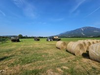 Bale svežega sena na poplavljena območja.