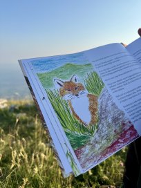 Avtorica besedila je tudi avtorica ilustracija