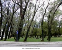 Foto Mirko Šterman