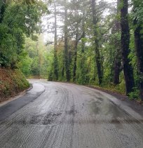 Cesta na Planino 