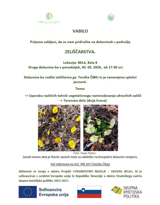 delavnica zeliščarstva