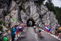 Utrinek z dirke Po sloveniji 2019 - vzpon na Predmejo. 