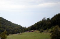 Pohodniki na poti proti prizorišču za Križno Goro Pohodniki na poti proti prizorišču za Križno Goro