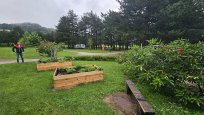 V Kampu Ajdovščina imajo tudi eko vrtiček, kjer si gostje lahko naberejo sveže zelenjave in zelišč. 