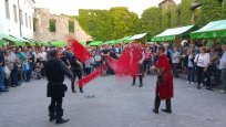 Festival vina zelen 2016, Foto-David Verlič