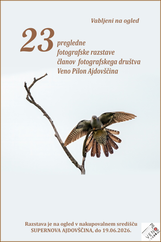 foto razstava