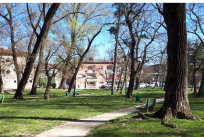 Najbolj nevarna in odslužena drevesa v Šturskem parku bodo odstranjena. 