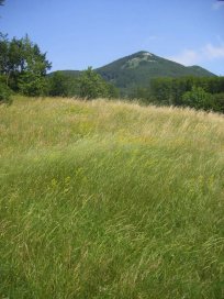 Pogled na Križno goro s Hrušice