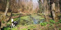 Foto: Š.Štokelj