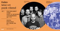 Kaše letni vrt-punk.jpg