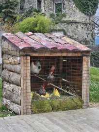 Letošnjo tradicionalno Velikonočno razstavo krasi tudi kokošnjak. 
