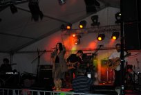 koncert generacij
