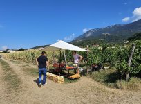 Stojnica Kmetije Koron v Vrtovinu 