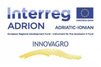 Logo innovvagro.jpg