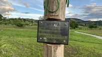 Murva je bila vsajena ob ustanovitvi Krajevne skupnosti Male Žablje v letu 2022. 
