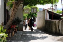 Med šmarenskimi griči 2014