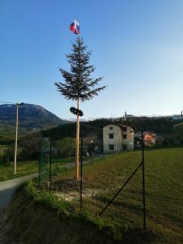 Mlaj v Malih Žabljah