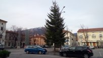 novoletna smreka na placu 