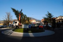 novoletna smreka-krožišče dec013
