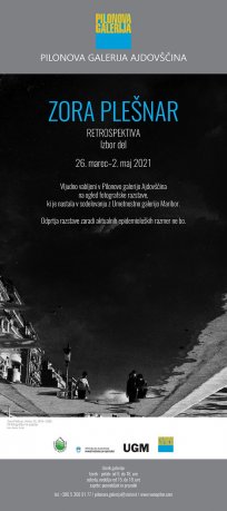 pilonova-zora plešnar.jpg