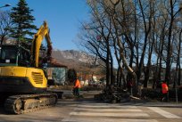podiranje topole - šturski park - nov013 023