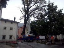 Foto Jošt Černigoj 