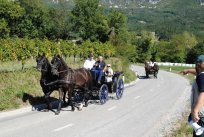 Pohodna pot Po zaselkih Lokavca je dobro označena in bogato opremljena z informativnimi tablami