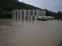 poplave
