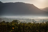 Poslovne cone v mestu Ajdovščina se širijo. 