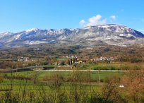 April 2021 - Čaven s kapo na glavi, po vsej Sloveniji pa je pustošila pozeba. 