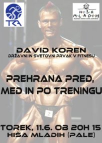Predavanje, David Koren, junij 2013