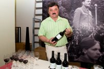 Protokolarno vino 2013, merlot Ferjančič 