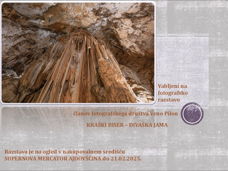 razstava fotografi.png