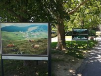 Razstava slovenija na panojih 