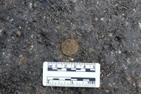 rim1