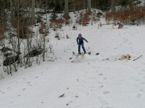 Skakalci trenirajo na domačih skakalnicah.