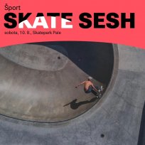 skatesesh.jpg