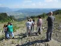 Slika 055