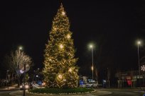 Tradicionalna ajdovska novoletna smreka v krožišču sredi mesta. 