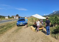 Na Koronovi stojnici je vedno živahno 