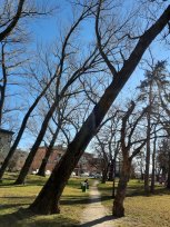 šturski park