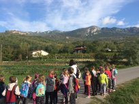Suhe zidove in terase v svoji okolici so v okviru dnevov kulturne dediščine, pod vodstvom strokovnjakov iz ZVKD Nova Gorica, raziskovali tudi učenci OŠ Dobravlje, PŠ Vrtovin. 
